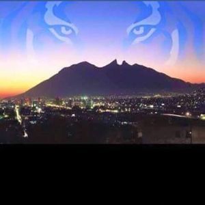 Meet your Posher, Rogelio